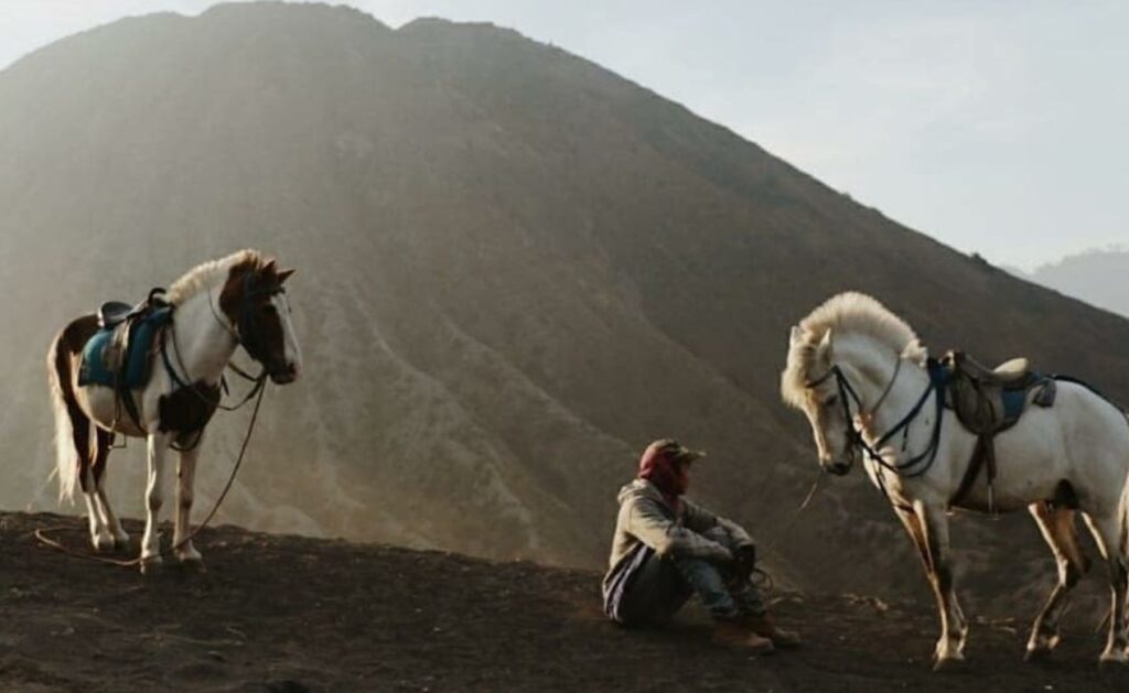 Aktivitas Petualangan Taman Nasional Bromo Tengger Semeru